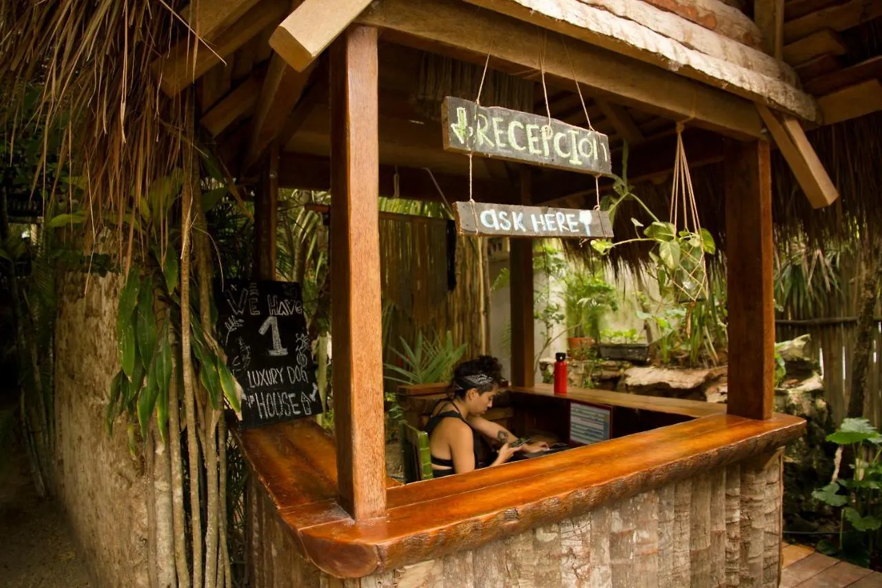 *** 酒店 Cabanas La Eufemia 图卢姆 墨西哥